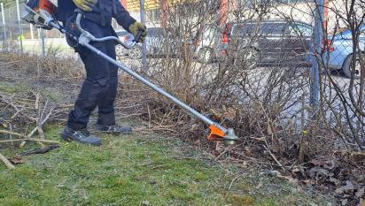 Yagoub sågar ner häcken med röjsåg.