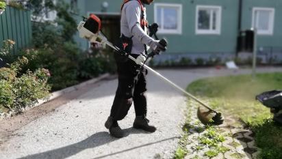 Anil trimmar bort ogräs från stensättningar