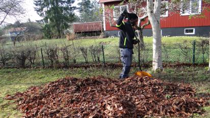 Vi hjälpte en kund att räfsa ihop alla fjolårslöv och att städa av tomten.