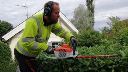 Joel putsar toppen på häcken