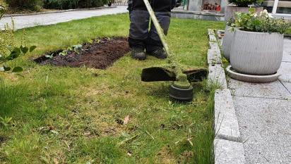 Sista touchen, maskrosorna bortrensade, rabatten återställd och jordgubbar planterade, gräset klippt och till sist så trimmar vi kanterna.