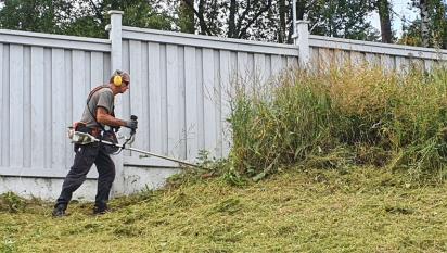 Jason trimmar gräset längs staketet