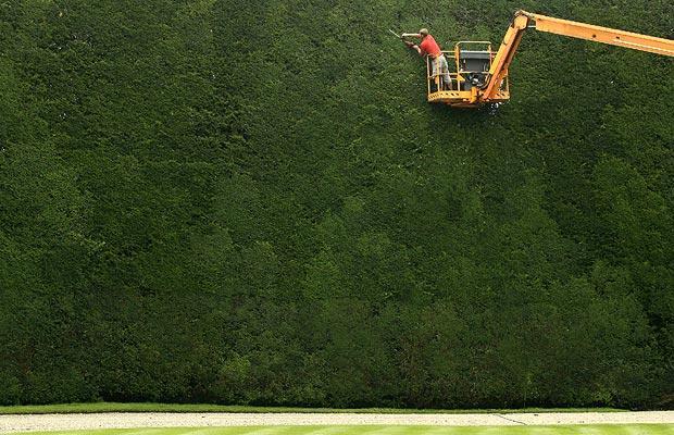 Klippa häck, häckklippning, beskära häck. ReGardens klipper din häck