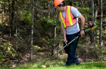 trädgårdsarbetare, trimmer, trimma gräs, sköta trädgård